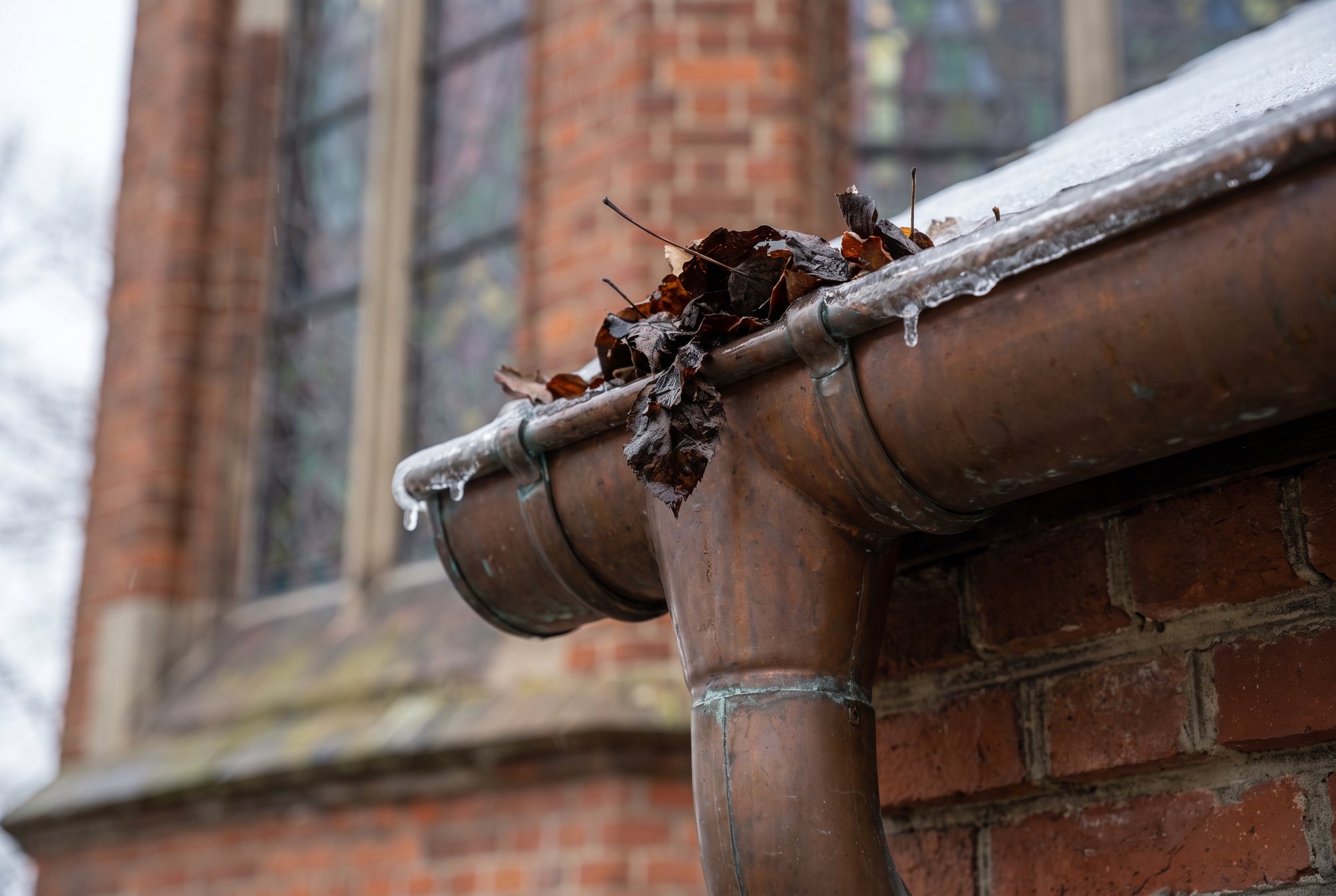 A copper gutter and downspout on a church roof packed with wet brown leaves, icicles along the edge and a stained-glass window out of focus behind